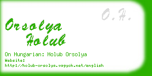 orsolya holub business card